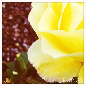 jimlittlewings_flower